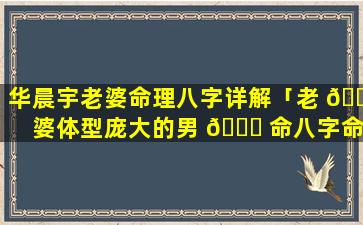 华晨宇老婆命理八字详解「老 🌾 婆体型庞大的男 🐝 命八字命理」